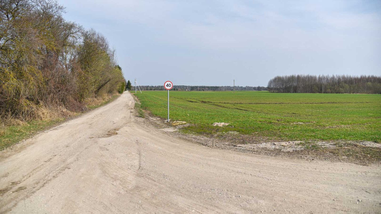 Sodų gyventojai apstulbę – jų sklypai nuo karjero bus nutolę vos 30 metrų. (P. Židonio nuotr.)