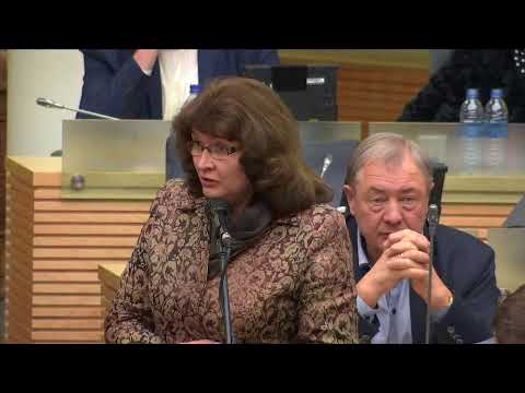 2019-12-10 Seimo vakarinis posėdis Nr. 363